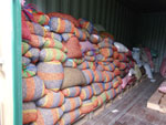 アラミドコーヒー豆は冷蔵倉庫で保管されます