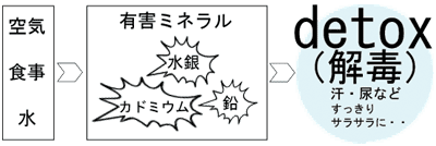 �L�Q�~�l�������n�j�B�[���E�f�g�b�N�X���Ŕr�o�I