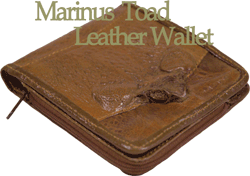 マリナストードレザーウォレット大蟇蛙（オオヒキガエル）の革財布