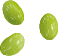 �\�C�r�[���i�哤�j