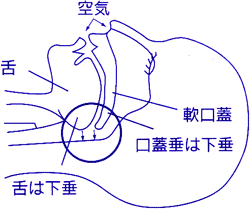 �C�r�L�iꍁj�̌�����}��