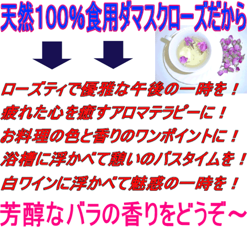 �h���C�_�}�X�N���[�Y�K�N�Q