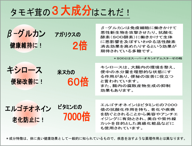 rncX[p[LmR̂R听I