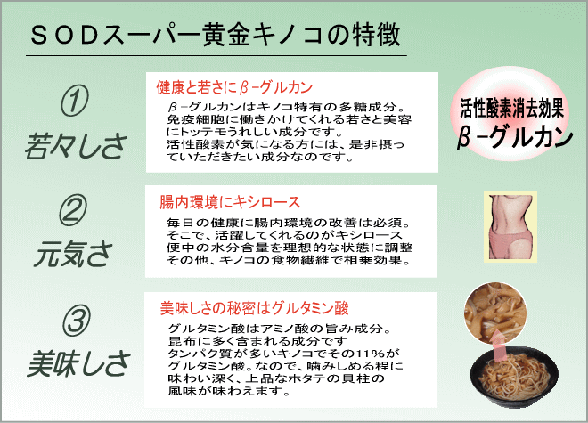 rncX[p[LmR̓I