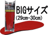 BIGTCYi29cm-30cmjAX[g|WV